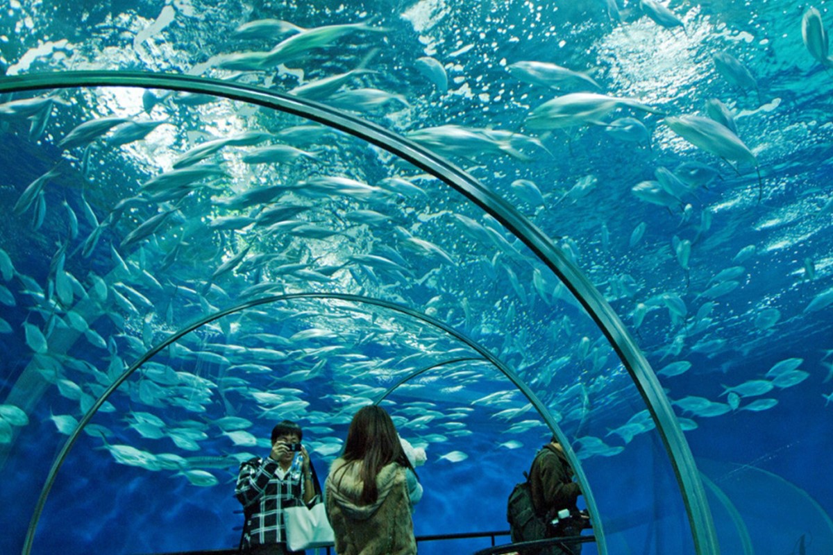 ShanghaiOceanAquarium1