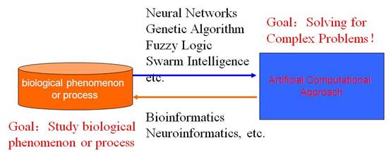 Description: Description: F:\LATEX\latex_template\latex\bai\fig02.JPG